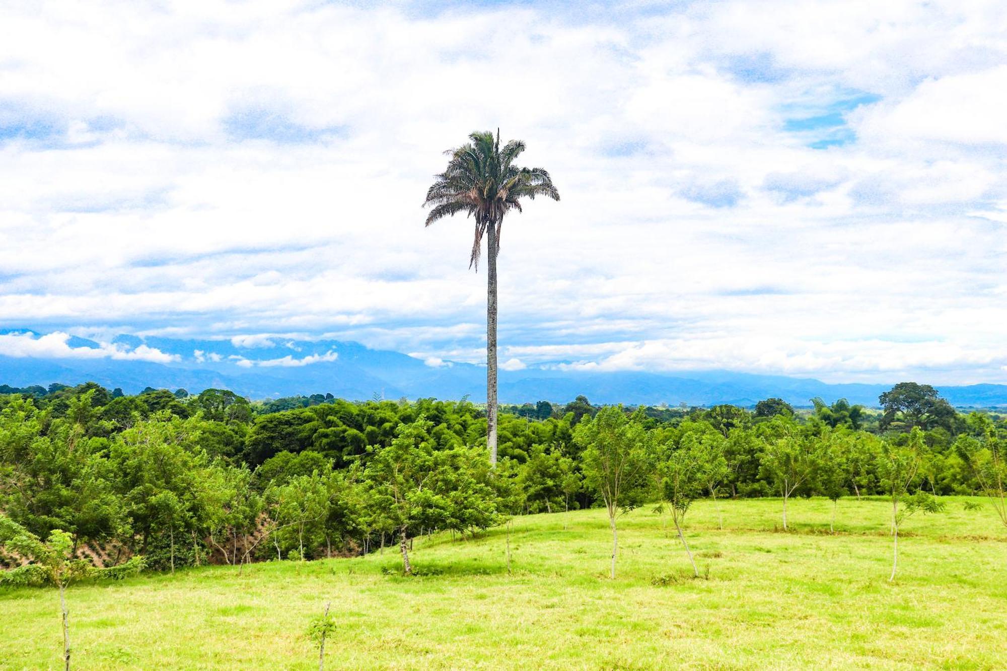 Hotel Quindio Campestre Montenegro Eksteriør billede